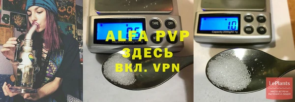 мет Алексин