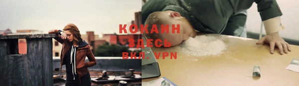 мет Алексин