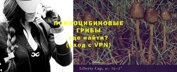 эйфоретик Алзамай