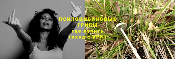 тгк Абдулино