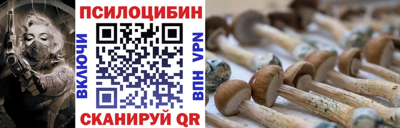 купить  цена  Морозовск  Псилоцибиновые грибы Magic Shrooms 