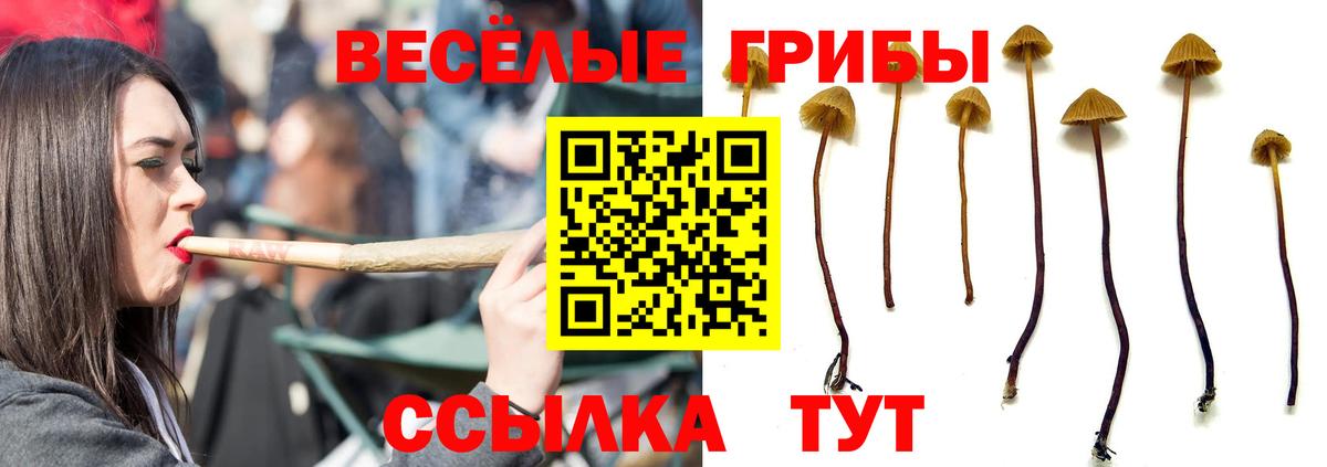 Галлюциногенные грибы Magic Shrooms Морозовск